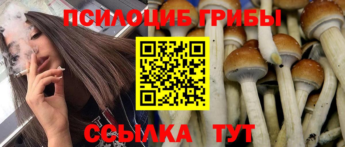Галлюциногенные грибы Magic Shrooms Можга