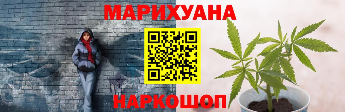 Каннабис сатива Можга